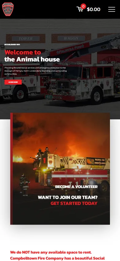 Palmyra Fire on mobile
